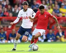 IM电竞官网_热刺英超击败布莱顿，孙兴慜进球(英超孙兴慜闪击 凯恩助攻 热刺20胜曼城升榜首)